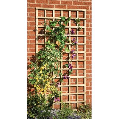 3ft Traditional Square Trellis Panel (1830 x 915mm) - Pressure Treated Green Timber